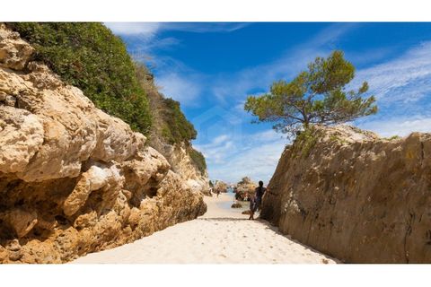 Erhvervsejendom i Setubal, Setubal, Setubal - € 140.000 | Ref: PH3333 - foto 17