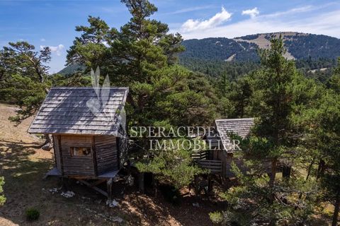 Træhytte i Caille, Alpes-Maritimes, Caille - € 575.000 | Ref: 85154926 - foto 5