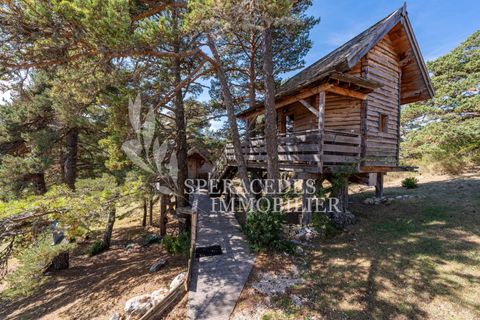 Træhytte i Caille, Alpes-Maritimes, Caille - € 575.000 | Ref: 85154926 - foto 13