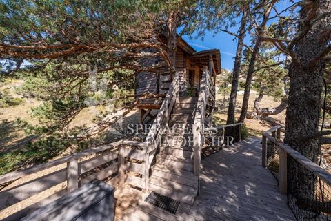 Træhytte i Caille, Alpes-Maritimes, Caille - € 575.000 | Ref: 85154926 - foto 14