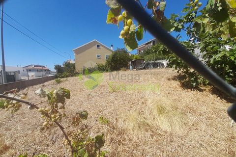 Helårsgrund i Amadora, Lisbon, Amadora - € 145.000 | Ref: 2052 - foto 4