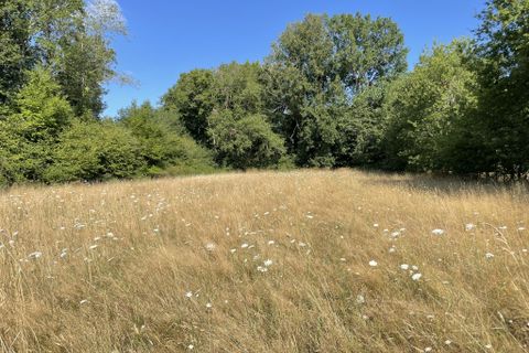 Villa in Alloue, Charente, Alloue - € 44.000 | Ref: 34871 - foto 20