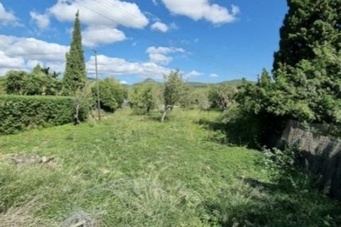 Tomt i Calvia, Mallorca, Calvia - € 725 000 | Ref: SAE 1901 - foto 7