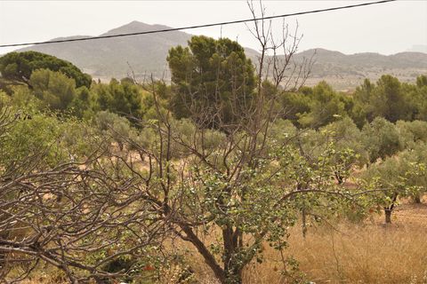 Ruïna a Salinas, Alicante, Salinas - € 119.950 | Ref: 25159c2508 - foto 11