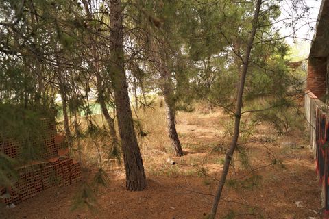 Ruïna a Salinas, Alicante, Salinas - € 119.950 | Ref: 25159c2508 - foto 17