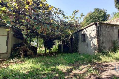 Byhus i Ponte de Lima, Viana do Castelo, Ponte de Lima - € 135.000 | Ref: 109176 - foto 7