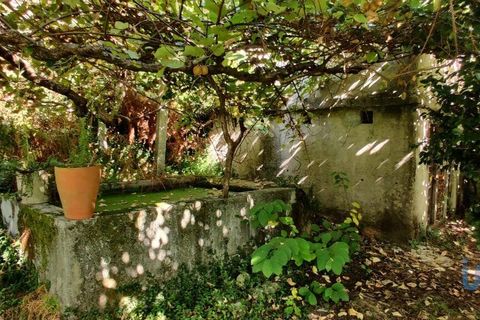 Byhus i Ponte de Lima, Viana do Castelo, Ponte de Lima - € 135.000 | Ref: 109176 - foto 8