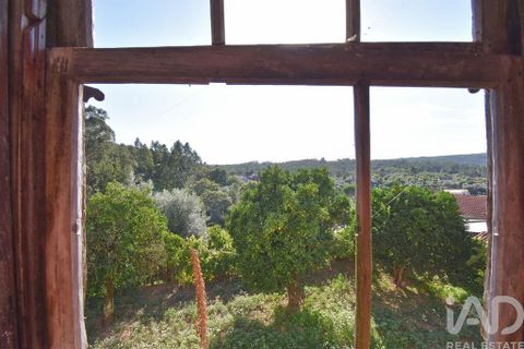 Rækkehus i Miranda do Corvo, Coimbra, Miranda do Corvo - € 30.000 | Ref: 125234 - foto 16