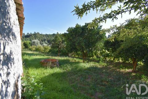 Rækkehus i Miranda do Corvo, Coimbra, Miranda do Corvo - € 30.000 | Ref: 125234 - foto 21