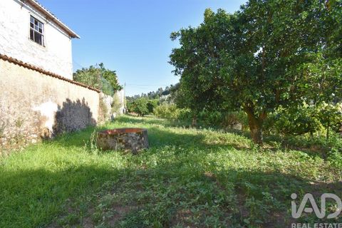 Rækkehus i Miranda do Corvo, Coimbra, Miranda do Corvo - € 30.000 | Ref: 125234 - foto 22
