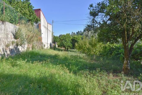 Rækkehus i Miranda do Corvo, Coimbra, Miranda do Corvo - € 30.000 | Ref: 125234 - foto 24