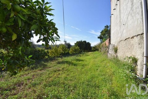 Rækkehus i Miranda do Corvo, Coimbra, Miranda do Corvo - € 30.000 | Ref: 125234 - foto 26
