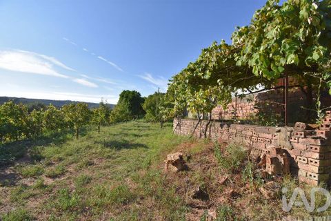 Rækkehus i Miranda do Corvo, Coimbra, Miranda do Corvo - € 30.000 | Ref: 125234 - foto 27