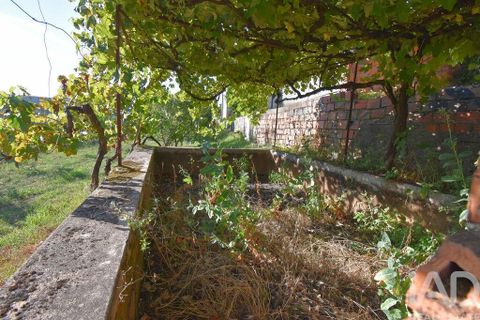 Rækkehus i Miranda do Corvo, Coimbra, Miranda do Corvo - € 30.000 | Ref: 125234 - foto 28