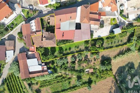 Rækkehus i Miranda do Corvo, Coimbra, Miranda do Corvo - € 30.000 | Ref: 125234 - foto 29