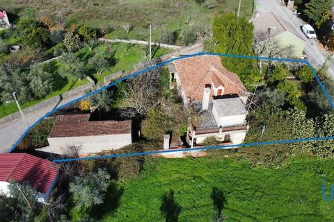 Rekkehus i Proenca-a-Nova, Castelo Branco, Proenca-a-Nova - € 160 000 | Ref: 147689 - foto 2