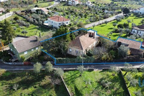 Rekkehus i Proenca-a-Nova, Castelo Branco, Proenca-a-Nova - € 160 000 | Ref: 147689 - foto 3