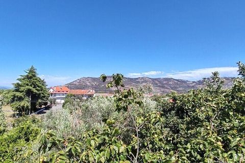 Rekkehus i Proenca-a-Nova, Castelo Branco, Proenca-a-Nova - € 160 000 | Ref: 147689 - foto 6