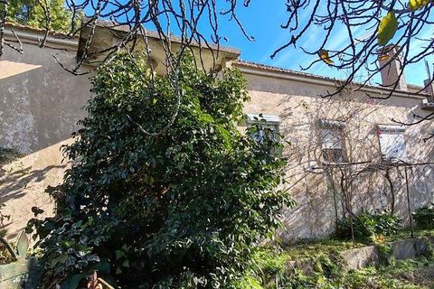Rekkehus i Proenca-a-Nova, Castelo Branco, Proenca-a-Nova - € 160 000 | Ref: 147689 - foto 10