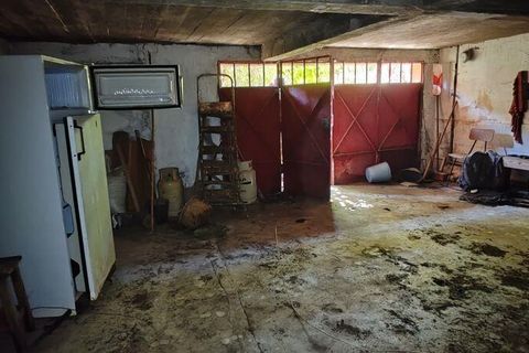 Rekkehus i Proenca-a-Nova, Castelo Branco, Proenca-a-Nova - € 160 000 | Ref: 147689 - foto 23