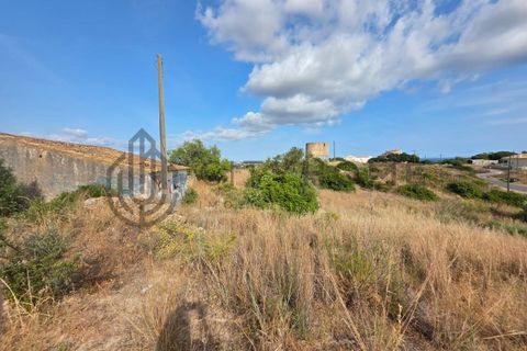 Terra a Ferreiras, Faro, Ferreiras - € 750.000 | Ref: City-25-29A - foto 6