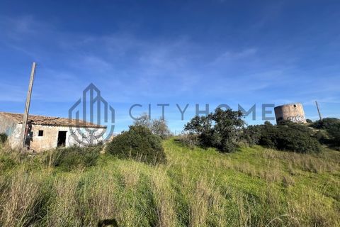 Terra a Ferreiras, Faro, Ferreiras - € 750.000 | Ref: City-25-29A - foto 11