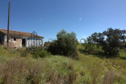 Terra a Ferreiras, Faro, Ferreiras - € 750.000 | Ref: City-25-29A - foto 14