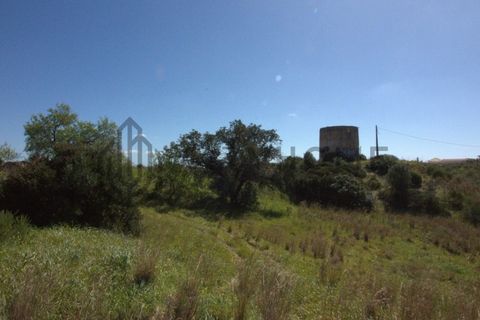Terra a Ferreiras, Faro, Ferreiras - € 750.000 | Ref: City-25-29A - foto 15