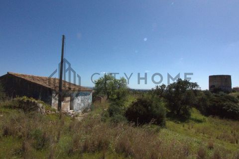 Terra a Ferreiras, Faro, Ferreiras - € 750.000 | Ref: City-25-29A - foto 17