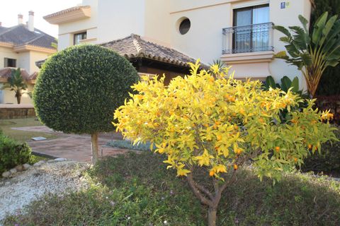 Lejlighed i Marbella, Malaga, Marbella - € 299.000 | Ref: R5139841 - foto 34