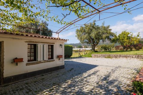 Villa i Caminha, Viana do Castelo, Caminha - € 795.000 | Ref: SAVPRT15914 - foto 5