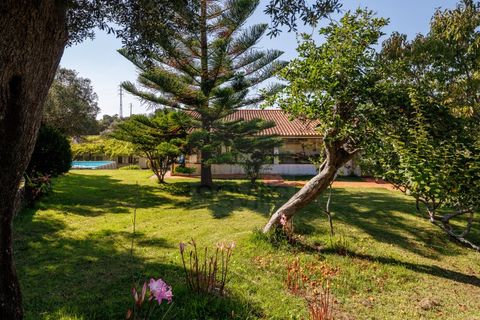 Villa i Caminha, Viana do Castelo, Caminha - € 795.000 | Ref: SAVPRT15914 - foto 33