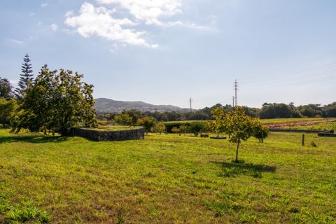 Villa i Caminha, Viana do Castelo, Caminha - € 795.000 | Ref: SAVPRT15914 - foto 36