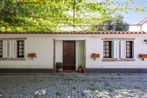 Villa i Caminha, Viana do Castelo, Caminha - € 795.000 | Ref: SAVPRT15914 - foto 46