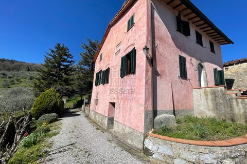 Villa i Lucca, Lucca, Lucca - € 550.000 | Ref: IA03640 - foto 4