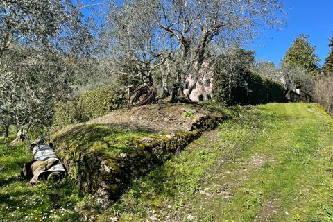 Villa i Lucca, Lucca, Lucca - € 550.000 | Ref: IA03640 - foto 29
