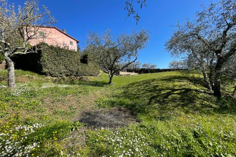 Villa i Lucca, Lucca, Lucca - € 550.000 | Ref: IA03640 - foto 30