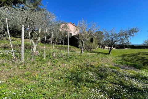 Villa i Lucca, Lucca, Lucca - € 550.000 | Ref: IA03640 - foto 31
