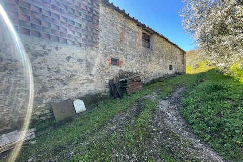 Villa i Lucca, Lucca, Lucca - € 550.000 | Ref: IA03640 - foto 32