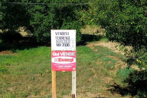 Erhvervsejendom i Lucca, Lucca, Lucca - € 35.000 | Ref: TR00300 - foto 1