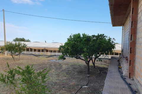 Villa i Scicli, Ragusa, Scicli - € 269.000 | Ref: 11485 - foto 8