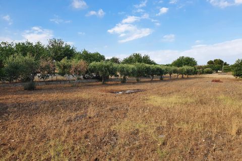 Villa i Scicli, Ragusa, Scicli - € 269.000 | Ref: 11485 - foto 9