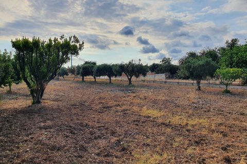Villa i Scicli, Ragusa, Scicli - € 269.000 | Ref: 11485 - foto 10