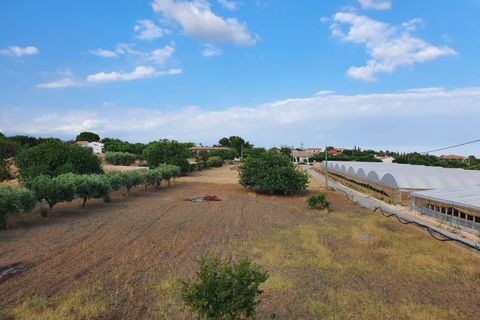 Villa i Scicli, Ragusa, Scicli - € 269.000 | Ref: 11485 - foto 12
