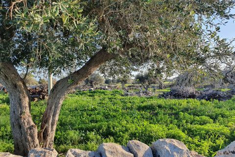 Lejlighed i Modica, Ragusa, Modica - € 300.000 | Ref: 10997 - foto 8