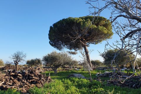 Lejlighed i Modica, Ragusa, Modica - € 300.000 | Ref: 10997 - foto 26