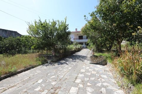 Villa i Sintra, Lisbon, Sintra - € 870.000 | Ref: CP-1021M - foto 2