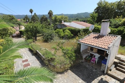 Villa i Sintra, Lisbon, Sintra - € 870.000 | Ref: CP-1021M - foto 38