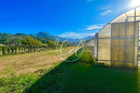 Villa a Camaiore, Lucca, Camaiore - € 450.000 | Ref: 1391 - foto 3