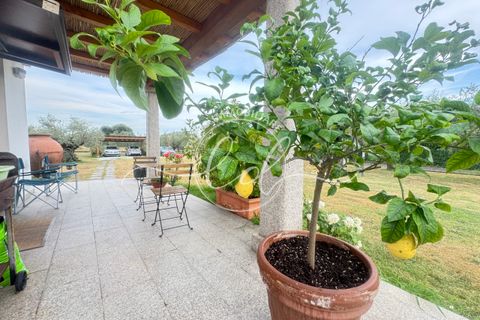 Helårsgrund i Luni, La Spezia, Luni - € 350.000 | Ref: 2549 - foto 5